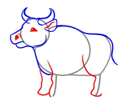 Поэтапное рисование быка