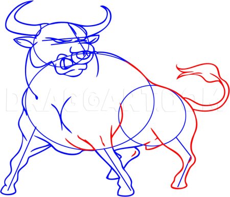 Этапы рисования быка
