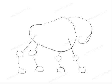 Поэтапное рисование быка