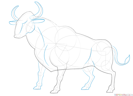 Поэтапное рисование быка
