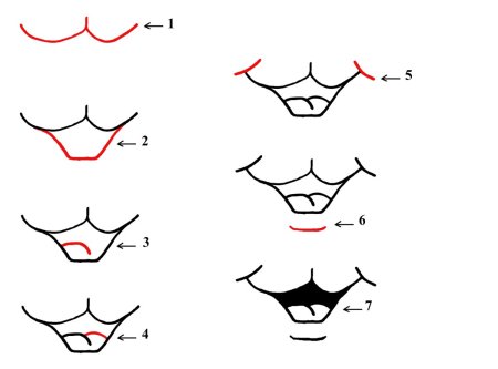 Рот рисунок