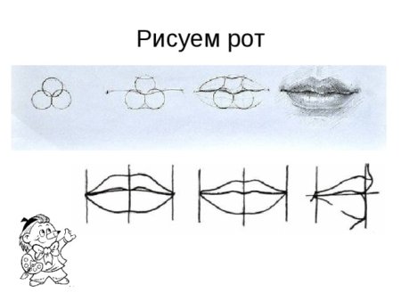 Пропорции рта для рисования