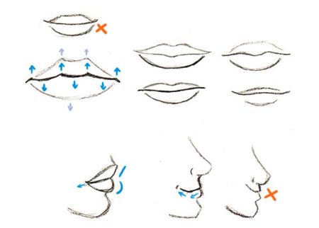 Схема рисования рта