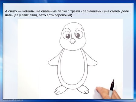 Пингвин рисунок для детей карандашом