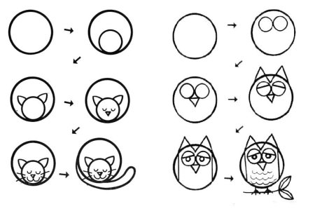 Как нарисовать мишку