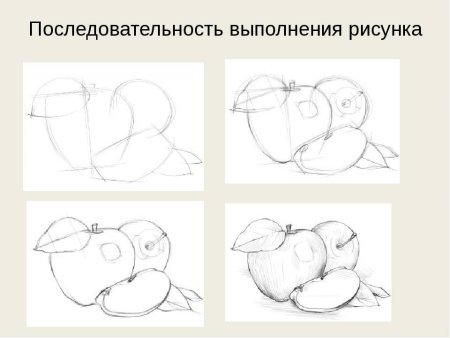 Этапы штрихования натюрморта