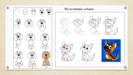 Этапы рисования собаки для детей