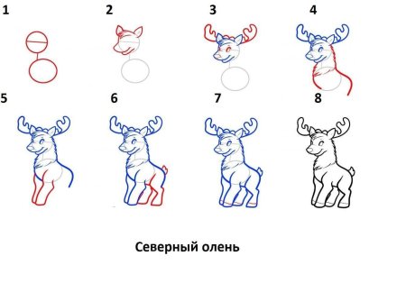 Схемы рисования животных для детей