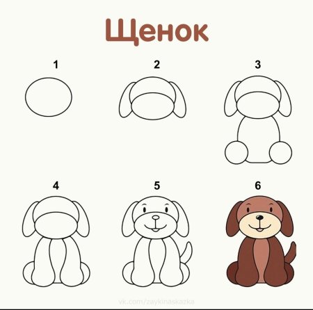 Рисование д ких животных