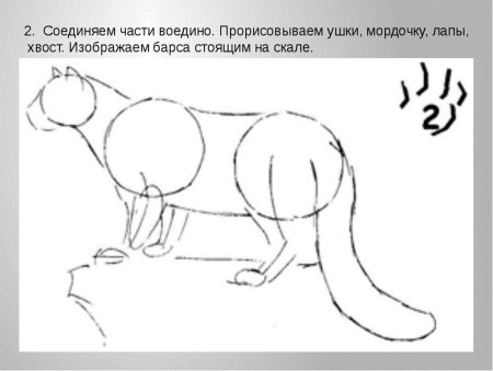 Снежный Барс рисунок карандашом поэтапно