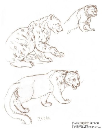 Снежный Барс рисунок карандашом