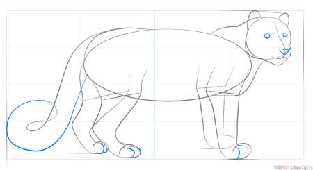 Пошаговое рисование снежного Барса