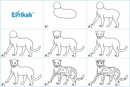 Поэтапное рисование леопарда