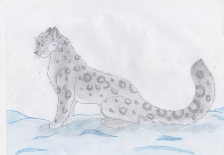 Снежный Барс сбоку рисунок