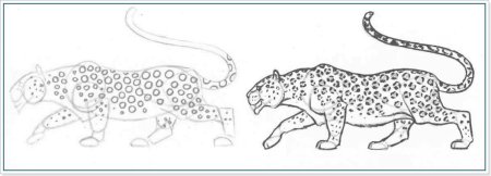 Леопард рисунок карандашом поэтапно