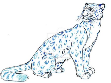 Ирбис анатомия