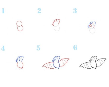 Летучая мышь рисунок поэтапно