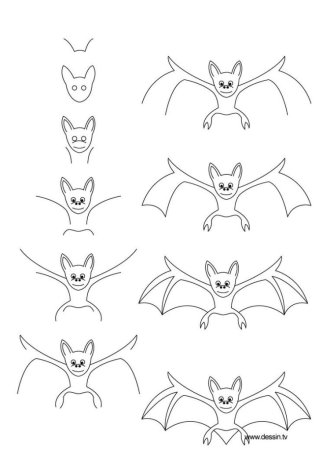 Летучая мышь рисунок легко