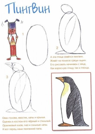 Рисование пошагово Пингвин для детей
