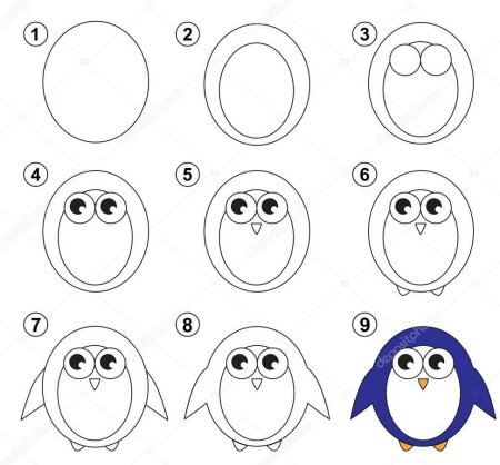 Пингвин пошаговое рисование