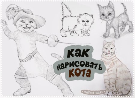 Рисование кошки в старшей группе