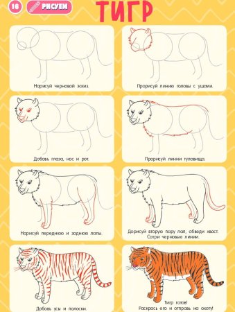 Как нарисовать тигра