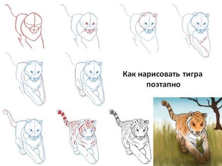 Тигр рисунок карандашом для детей