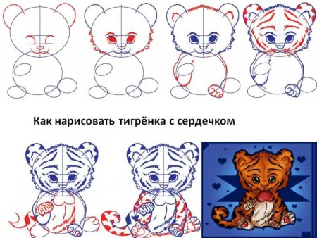 Тигр поэтапно