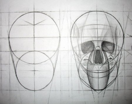 Рисование пошагово череп