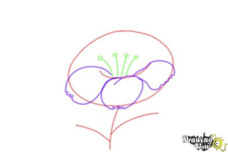 Аленький цветочек поэтапное рисование