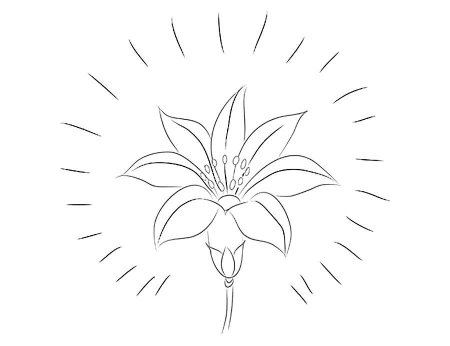 Аленький цветочек рисунок