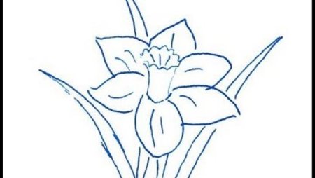 Аленький цветочек рисунок для срисовки