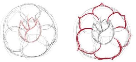 Аленький цветочек рисунок поэтапно