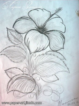 Аленький цветочек рисунок карандашом