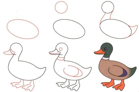 Поэтапное рисование клоуна для дошкольников