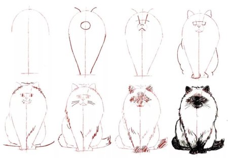 Нарисовать сидящую кошку
