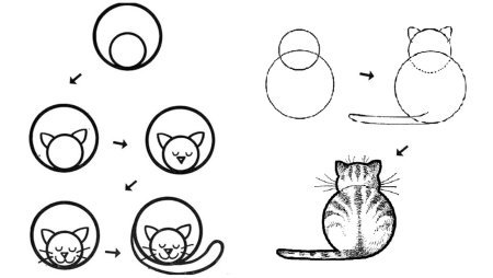 Котики для рисования для начинающих