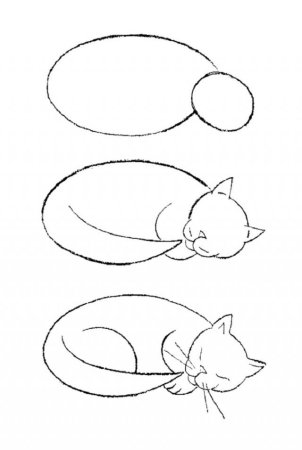 Схема кота рисунок
