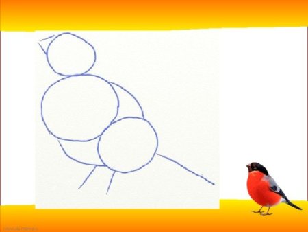 Рисование птицы Снегирь 2 класс поэтапное рисование