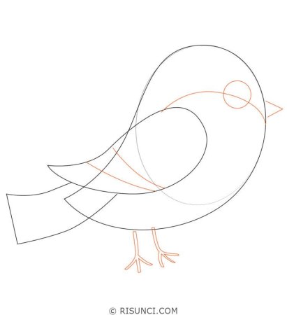 Снегирь пошаговое рисование