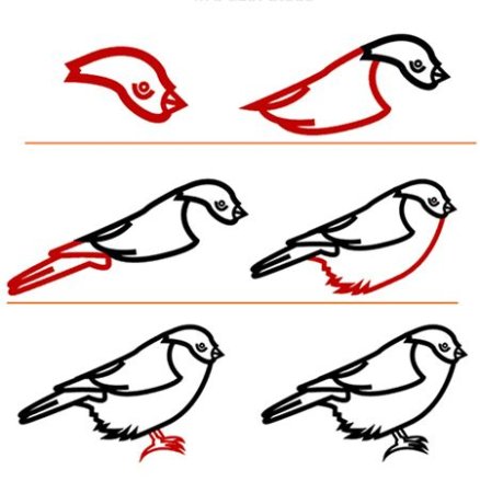 Снегирь пошаговое рисование