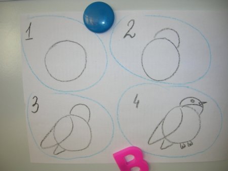 Рисование снегиря в средней группе