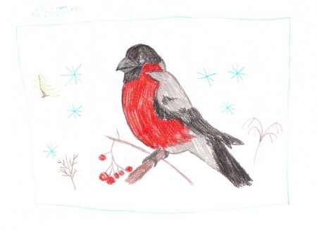 Рисуется Снегирь
