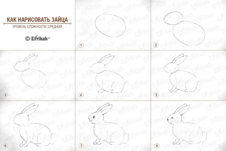 Поэтапное рисование зайца