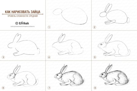 Как рисовать зайца