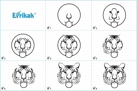 Голова тигра рисунок поэтапно
