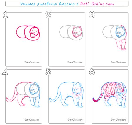 Поэтапное рисование тигра