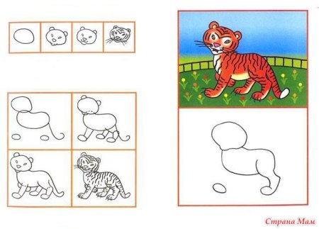 Рисование тигра в старшей группе
