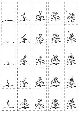 Изображения для флипбука