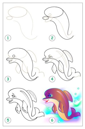 Рисунок дельфина